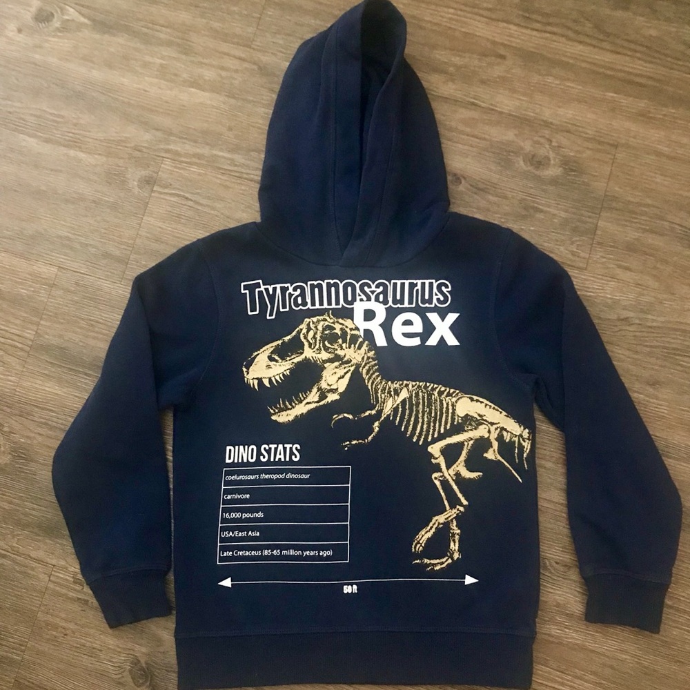 T-Rex Hoodie